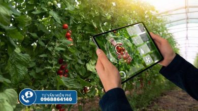 Ứng dụng công nghệ thị giác máy tính